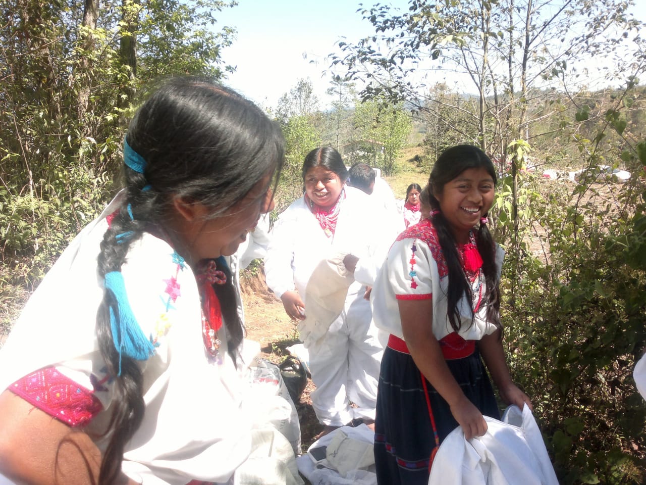 mujeres-capacitandose-apicultura.jpg